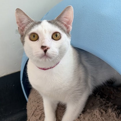 Marty Supreme - Photo 3