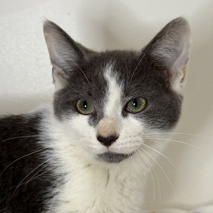 ClawClaw Jones - Photo 2