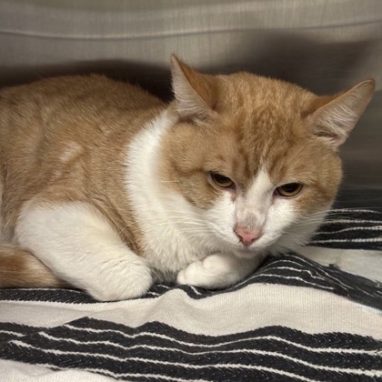 Jerry Curl - Photo 1