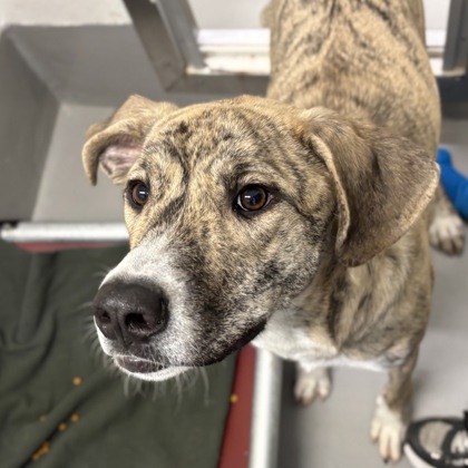 2de8ab74-e06f-4891-8ef1-eb70a38ccf22