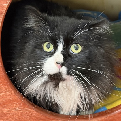 Colton McKitty-vitz - Photo 1