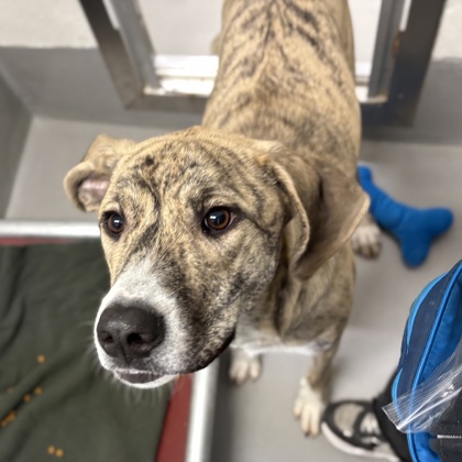 46a444eb-b12e-4873-9059-9e1583846585