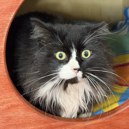 Colton McKitty-vitz - Photo 3