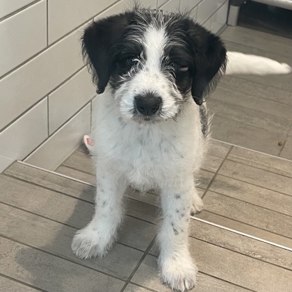 Crunchwrap - Photo 1