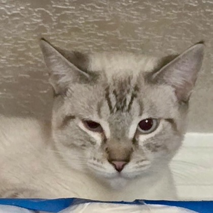 Pheobe Jeebies - Photo 3