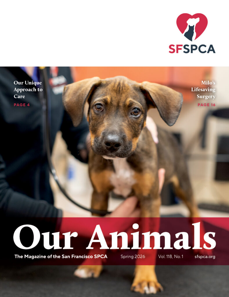 Our Animals—Spring 2026