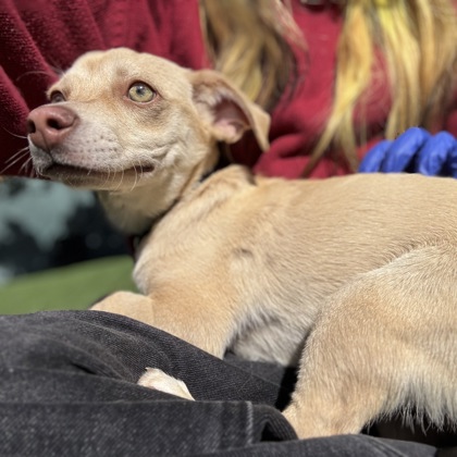 Hubert Brave - Photo 2