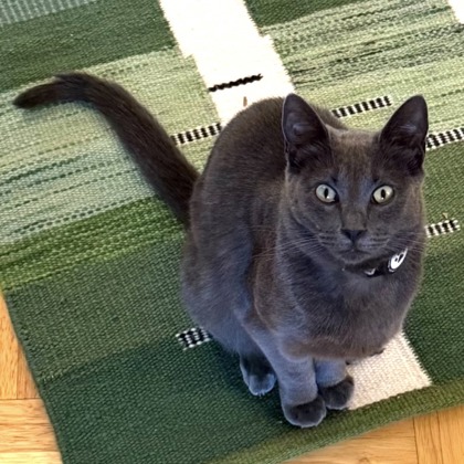 Kat - Photo 2