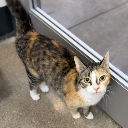 Baja Blast - Photo 2