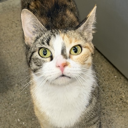 Baja Blast - Photo 1