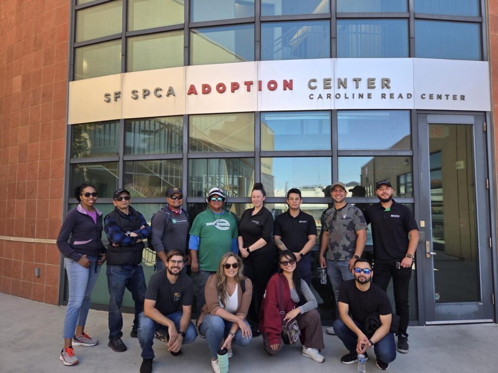 Corporate volunteers at the SF SPCA