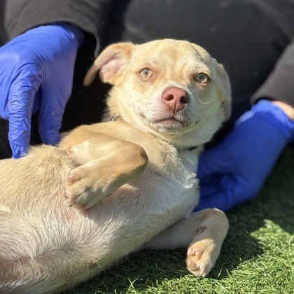 Hubert Brave - Photo 3