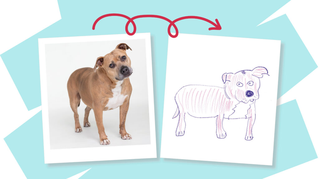 Donate to the SF SPCA for a hand-drawn portrait of you pet