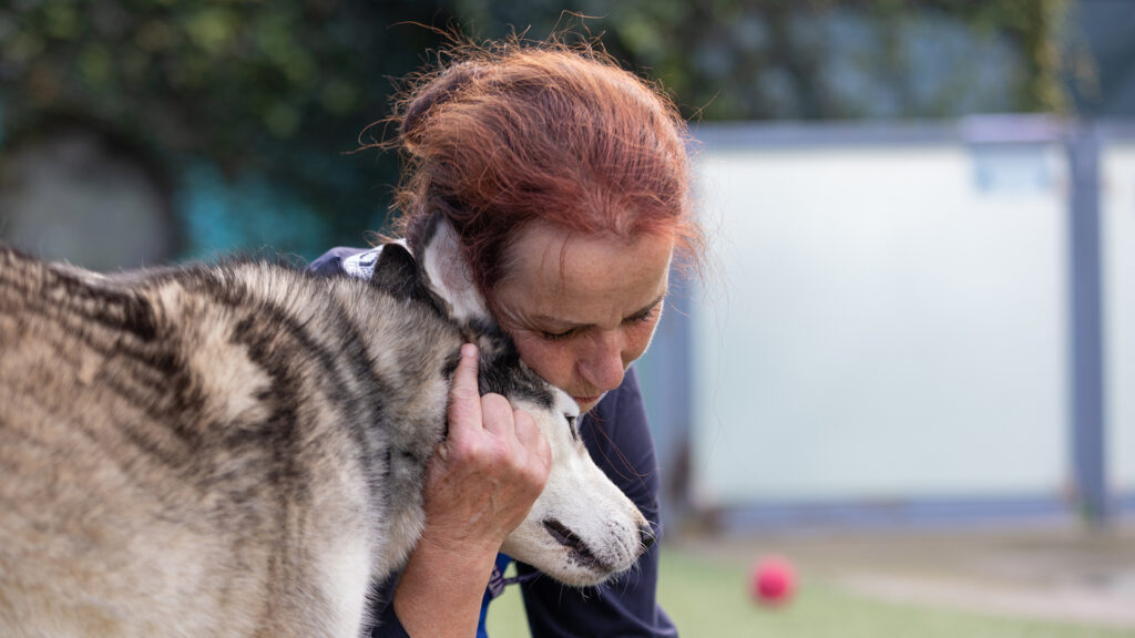 Woman hugging big dog