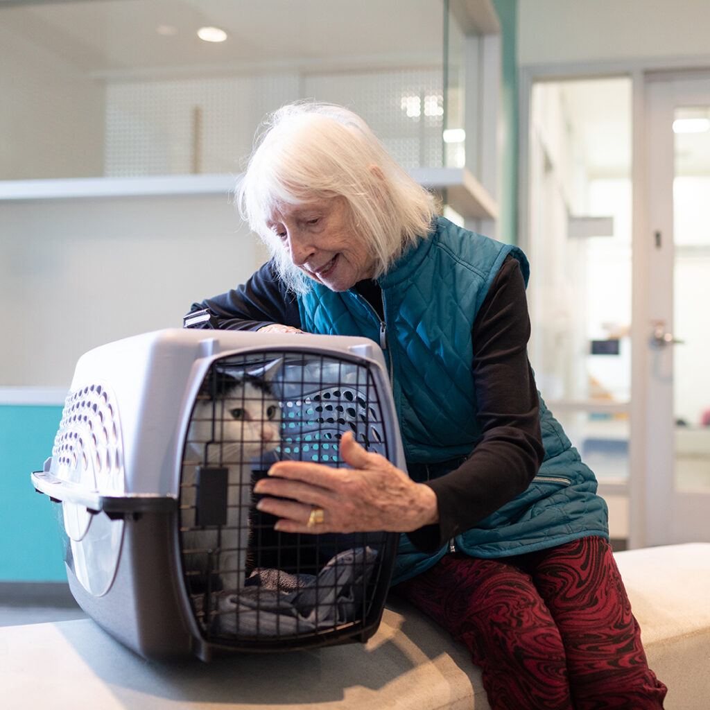 Your Pet's Future, Protected