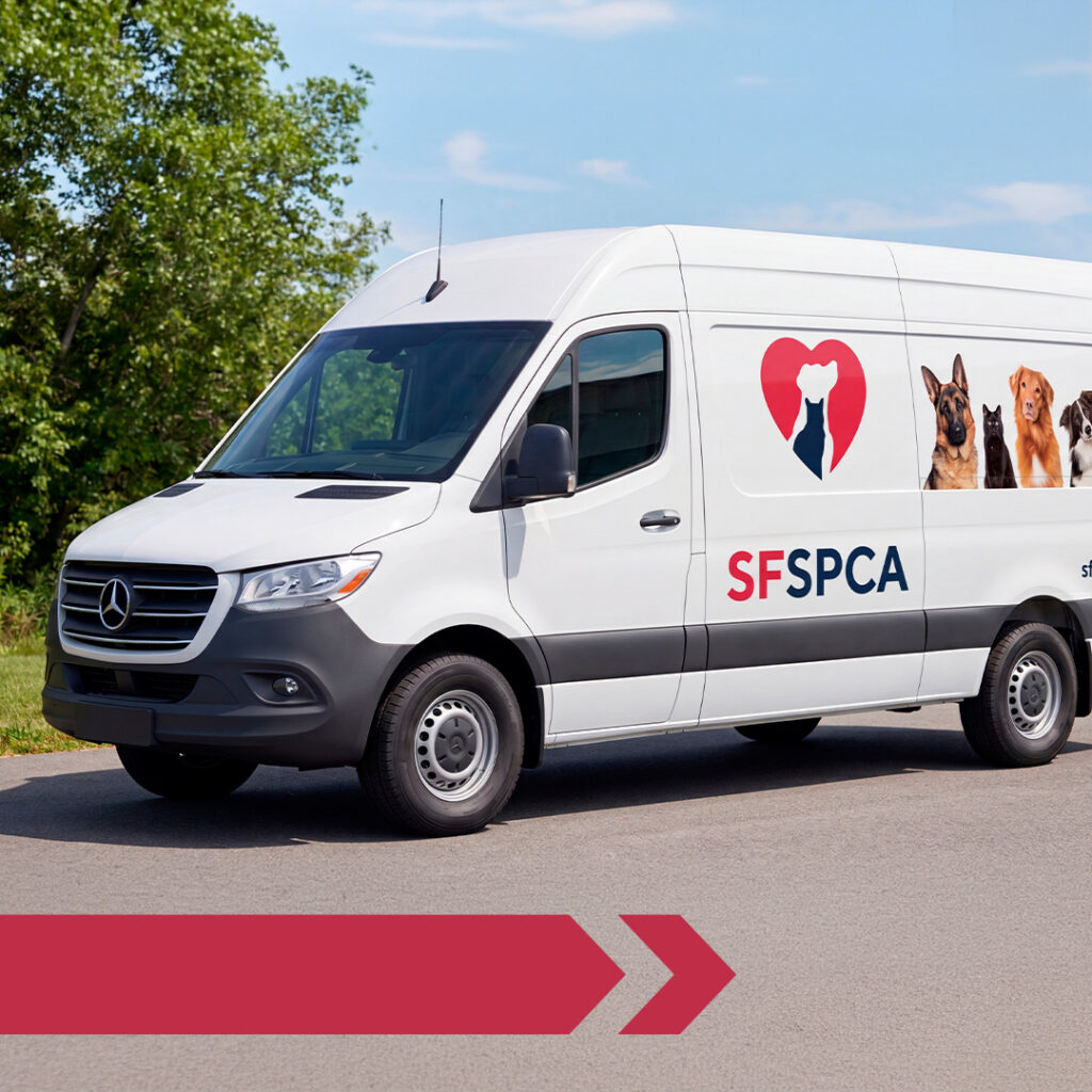 SF SPCA Donation Match through June 30