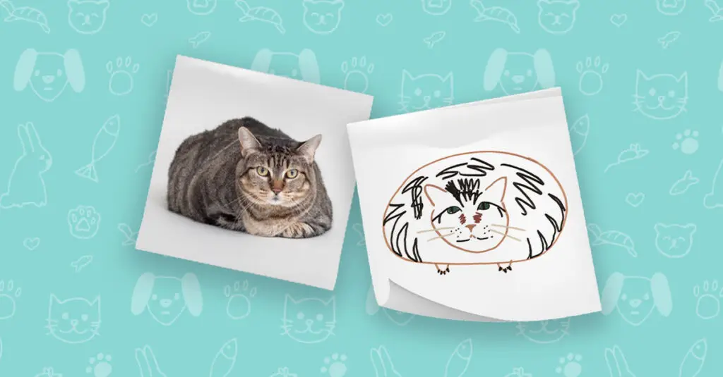 San Francisco SPCA Sketchy Pets Cat Portrait