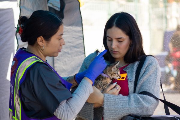 A woman gives a vaccine to a kitten at an SF SPCA Mobile Vaccine Clinic