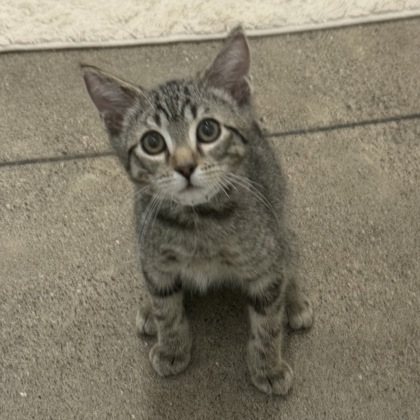 Wally - Photo 2