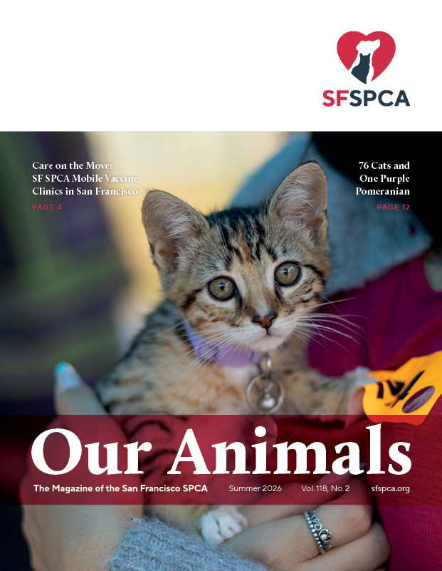 Summer 2026 Our Animals Cover