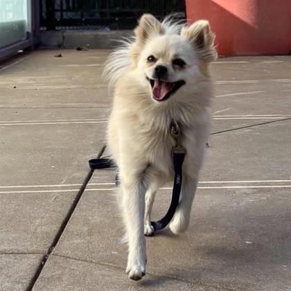 Peaches - Photo 1