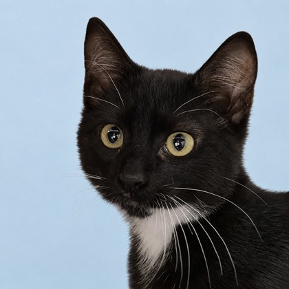 Sookie - Photo 1