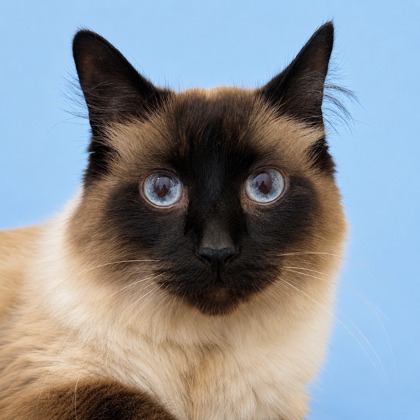 Gunther - Photo 1