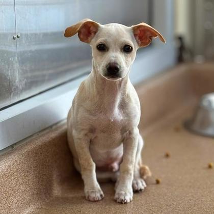 Atticus - Photo 2
