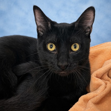 Damon - Photo 1
