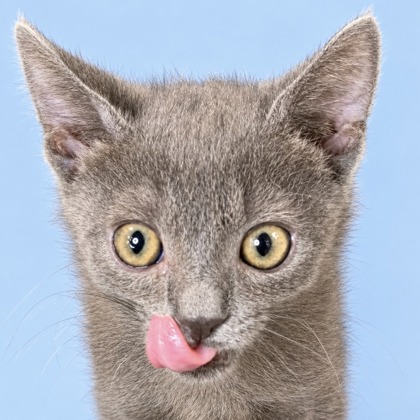 Lucky Ned Pepper - Photo 2