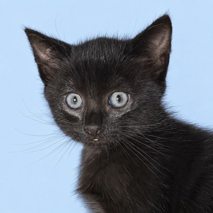 Timmy - Photo 1