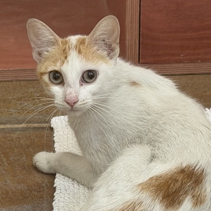 Nonna - Photo 3