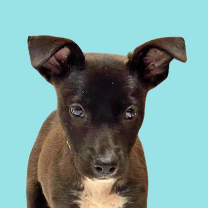 Sabyne - Photo 1