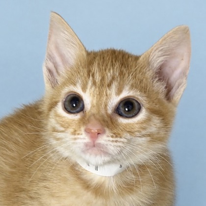 Jerry - Photo 2