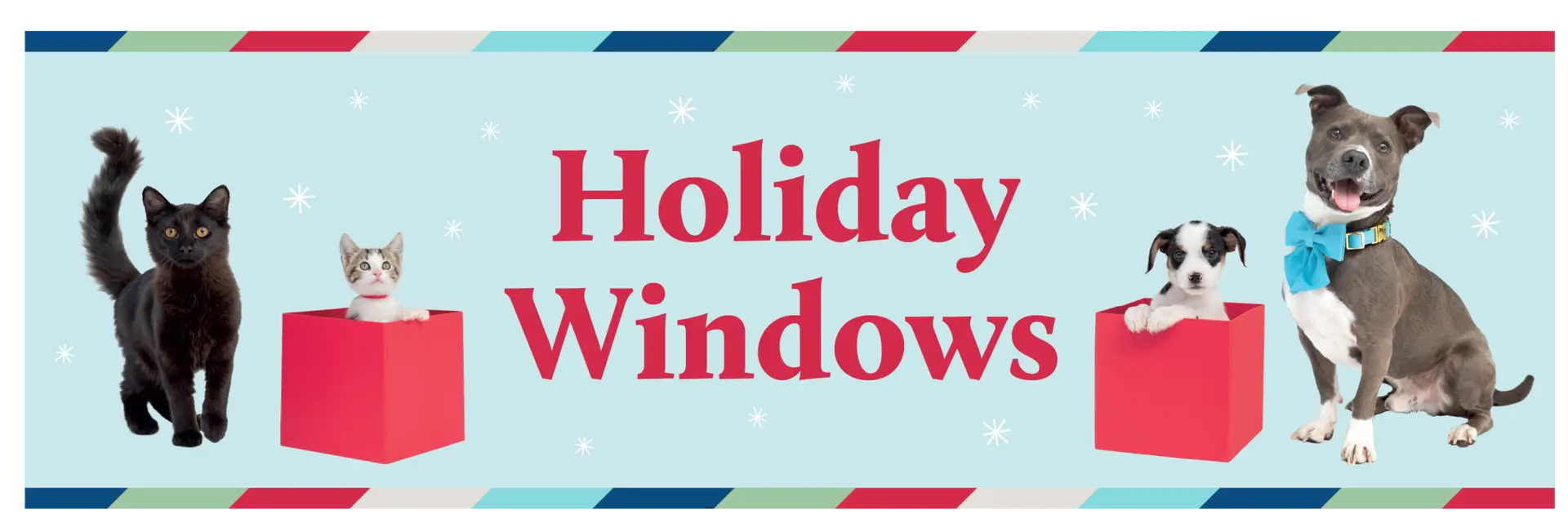 SF SPCA Holiday Windows