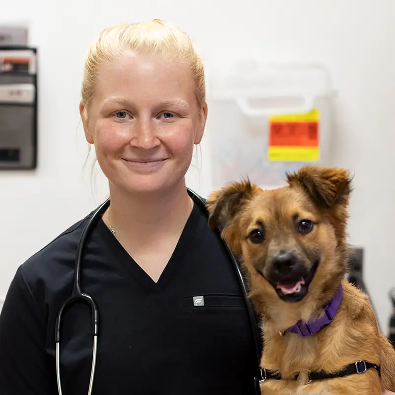 Woman with light blonde hair in a veterinary exam room with a happy light brown dog.