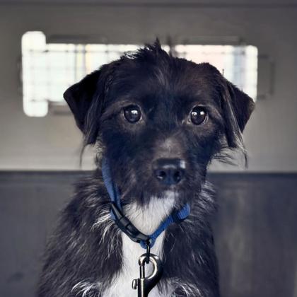 Maggie - Photo 1
