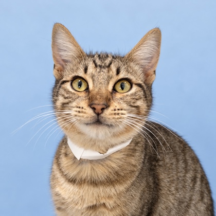 Sheldon - Photo 3