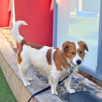 Walter - Photo 1
