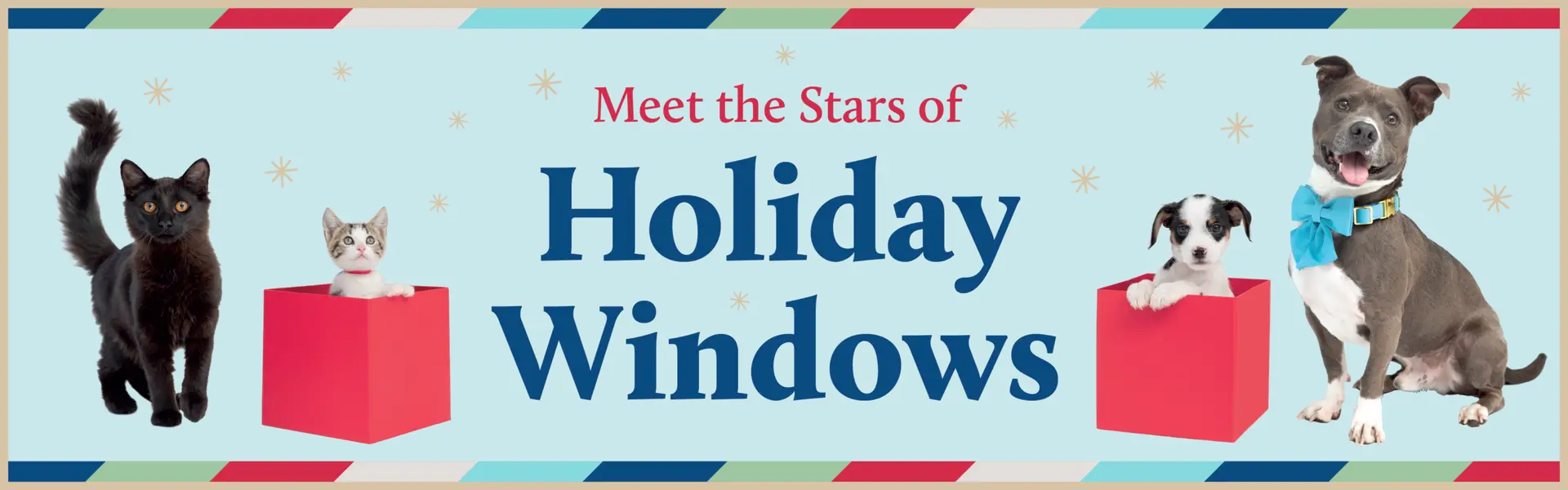 SF SPCA Meet the Stars of Holiday Windows November 12, 2026