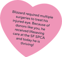 blizzardHeart