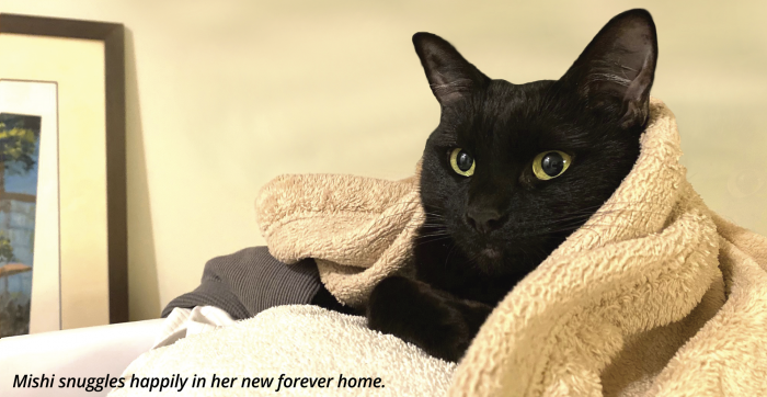 fyeMatch_donationBG-mishi4-caption