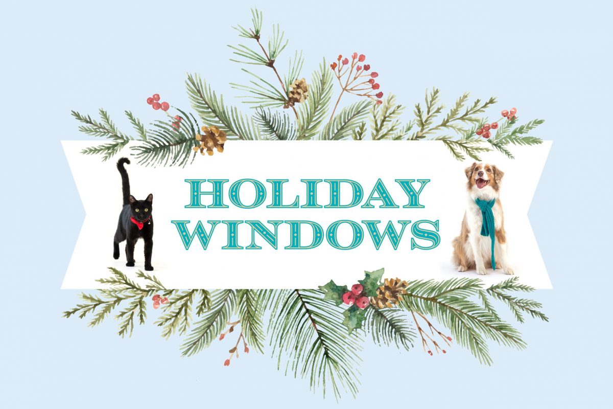 SF SPCA Holiday Windows