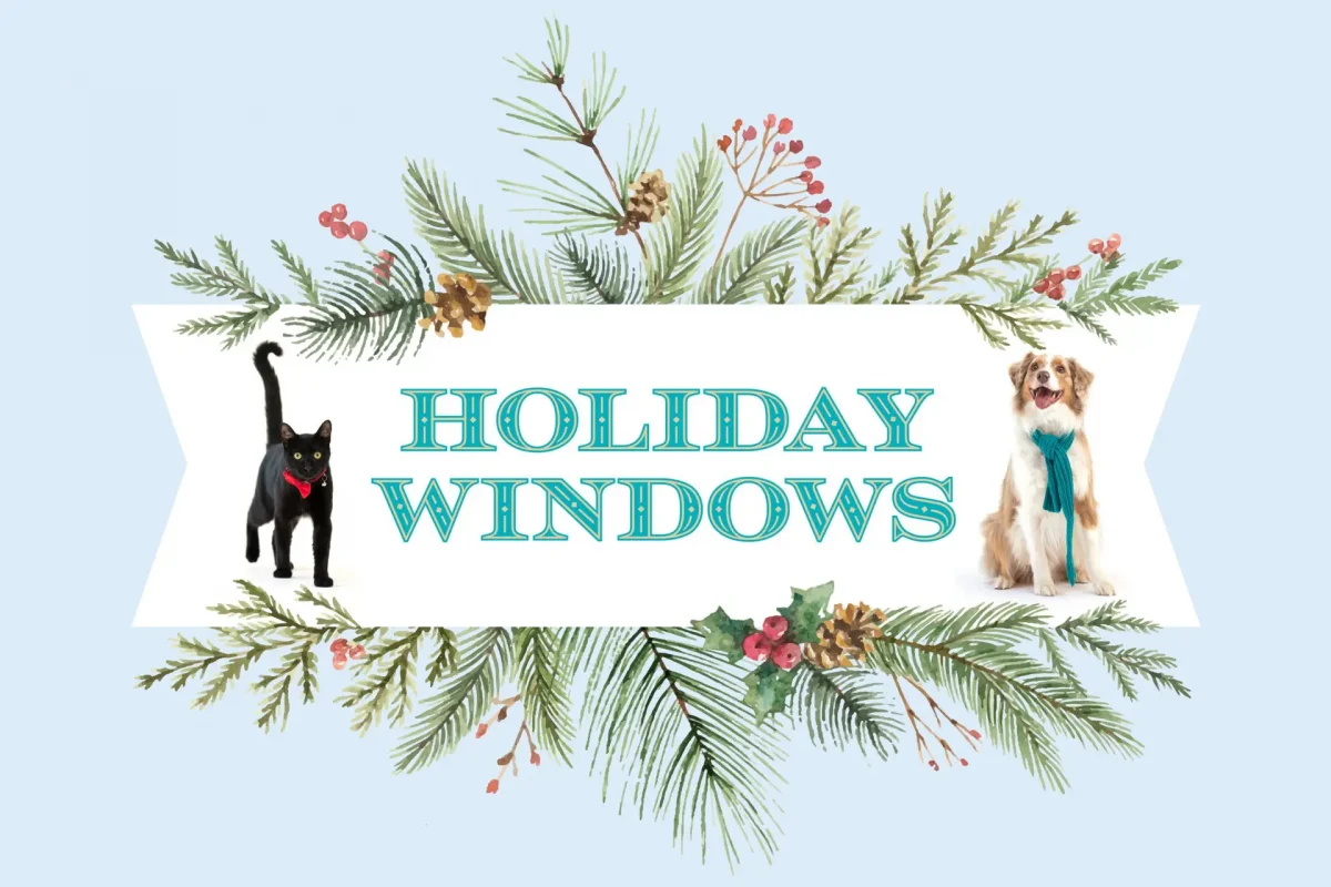 SF SPCA Holiday Windows